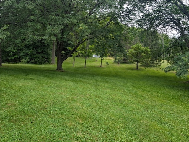 2105 Ireland Rd, Clarkson, NY 14420 - photo 26