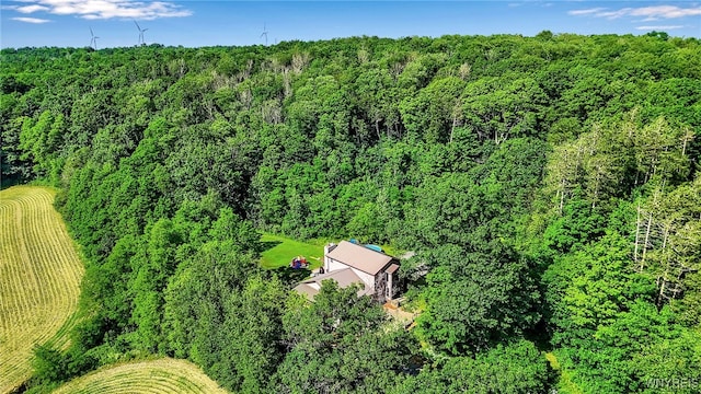 2035 Centerline Rd, Sheldon, NY 14167 - view from above of property featuring a forest