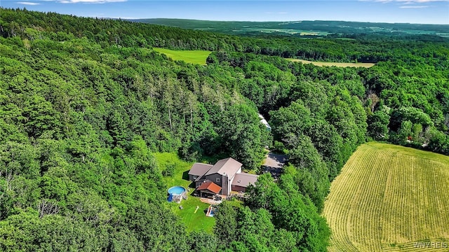 2035 Centerline Rd, Sheldon, NY 14167 - aerial view of a forest