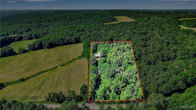 2035 Centerline Rd, Sheldon, NY 14167 - view of property location with property parcel outlined