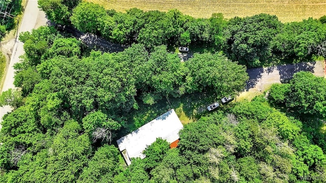 2035 Centerline Rd, Sheldon, NY 14167 - view of rural area