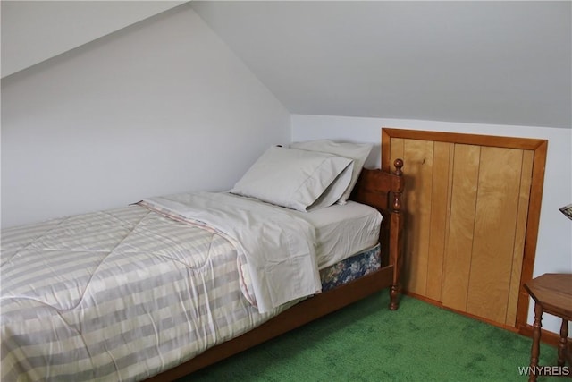 5436 Java Lake Rd, Java, NY 14009 - bedroom featuring carpet floors and lofted ceiling