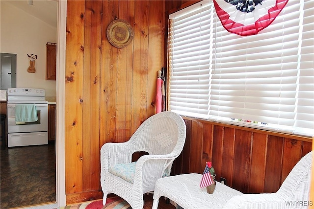 5436 Java Lake Rd, Java, NY 14009 - sitting room featuring wooden walls and electric panel