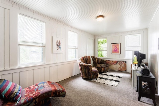 72 Weld St, Rochester, NY 14605 - living area featuring carpet floors