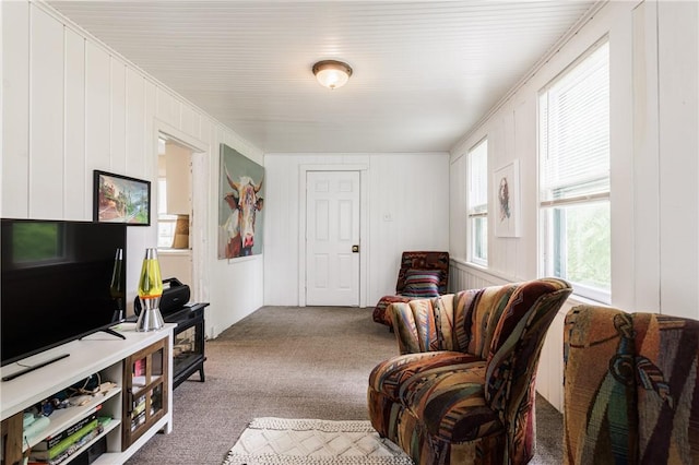 72 Weld St, Rochester, NY 14605 - view of carpeted living room