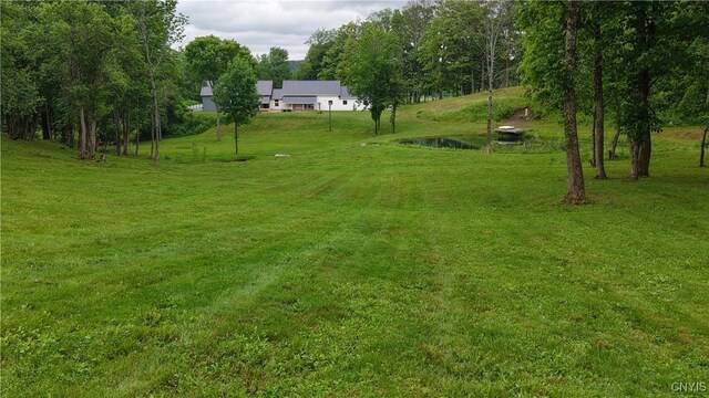 7847 Blue Rd, Deerfield, NY 13304 - photo 11
