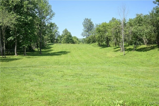 7847 Blue Rd, Deerfield, NY 13304 - photo 46
