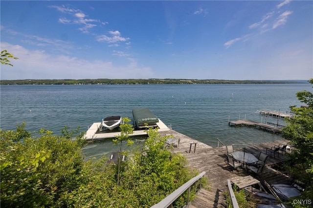 2516 W Lake Rd, Skaneateles, NY 13152 - water view with a dock