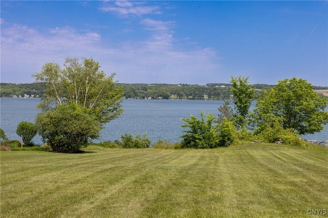 2516 W Lake Rd, Skaneateles, NY 13152 - water view