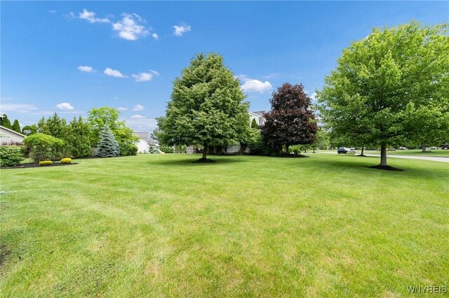 9332 Sitka Spruce Ct, Clarence, NY 14032 - photo 50