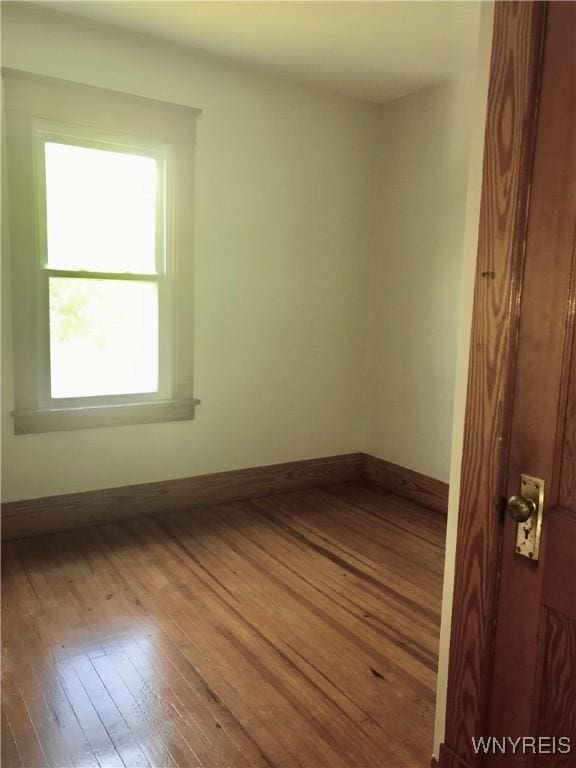 49 Page St, Buffalo, NY 14207 - photo 14