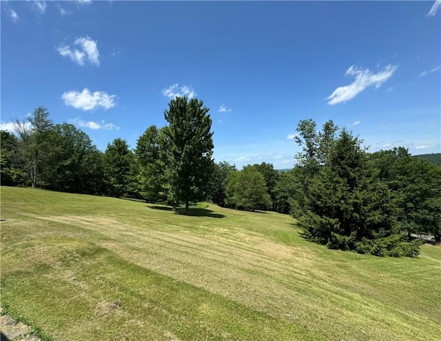 3557 Doty Hill Rd, Ashland, NY 14894 - photo 7