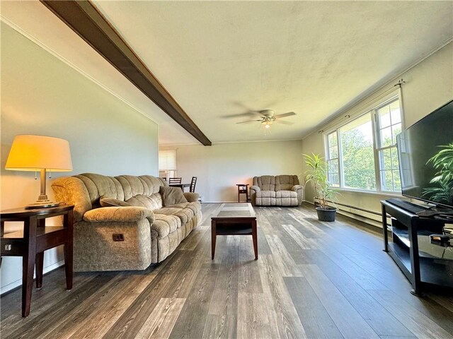 3557 Doty Hill Rd, Ashland, NY 14894 - photo 11