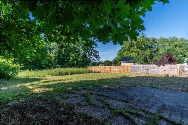 11 Grove St, Adams, NY 13605 - view of yard