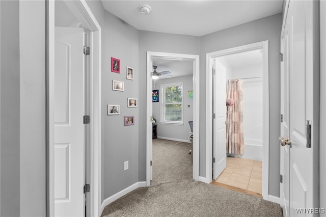 720 N Star Rd, Elma, NY 14052 - corridor featuring carpet and baseboards