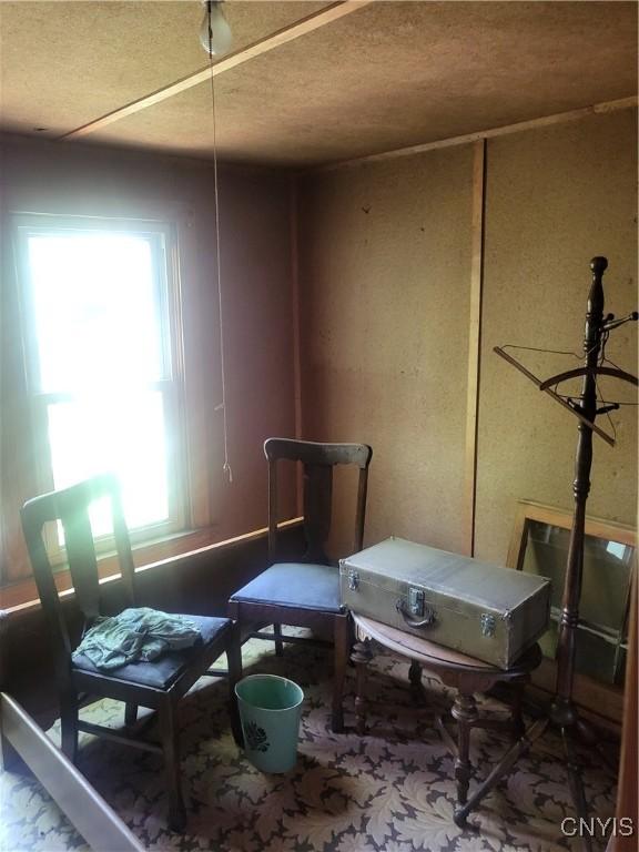 182 Seneca Rd, Webb, NY 13420 - sitting room with a textured ceiling