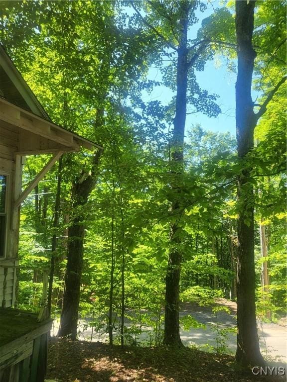 182 Seneca Rd, Webb, NY 13420 - view of yard with a view of trees