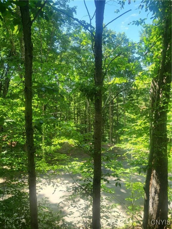 182 Seneca Rd, Webb, NY 13420 - view of woods