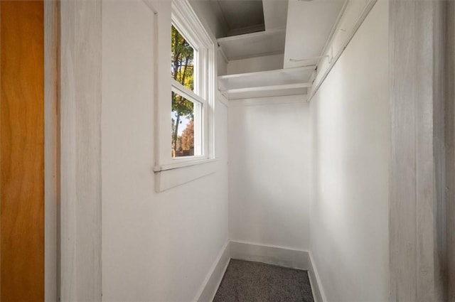 23 Peacock St, Auburn, NY 13021 - walk in closet featuring carpet flooring