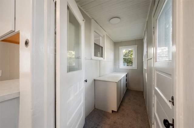 23 Peacock St, Auburn, NY 13021 - washroom with light colored carpet