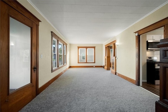 23 Peacock St, Auburn, NY 13021 - corridor with carpet and ornamental molding