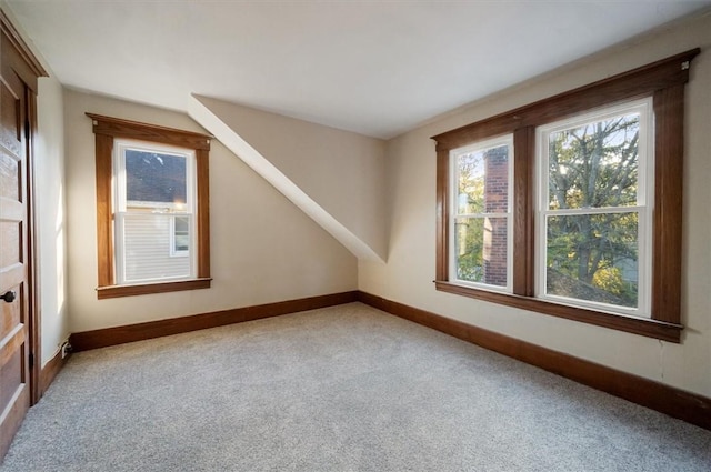 23 Peacock St, Auburn, NY 13021 - additional living space featuring carpet and baseboards