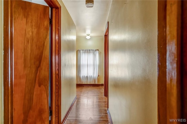 2104 Walnut Ave, Niagara Falls, NY 14301 - hallway with wood finished floors and baseboards