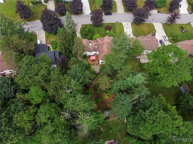 55 Twilight Ln, Amherst, NY 14051 - photo 49