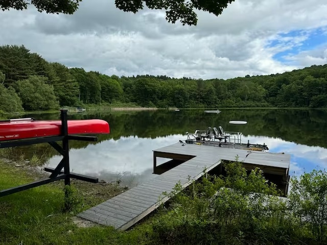 1737 Tupper Hill Rd, Franklin, NY 13775 - dock area with a forest view and a water view