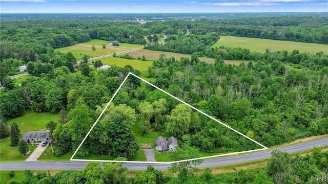 388 Sutton Rd, Schroeppel, NY 13132 - view of property location with property boundaries highlighted and a forest