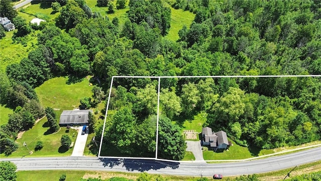 388 Sutton Rd, Schroeppel, NY 13132 - view of property location with property boundaries highlighted and a heavily wooded area