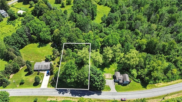 388 Sutton Rd, Schroeppel, NY 13132 - aerial overview of property's location with property boundaries highlighted