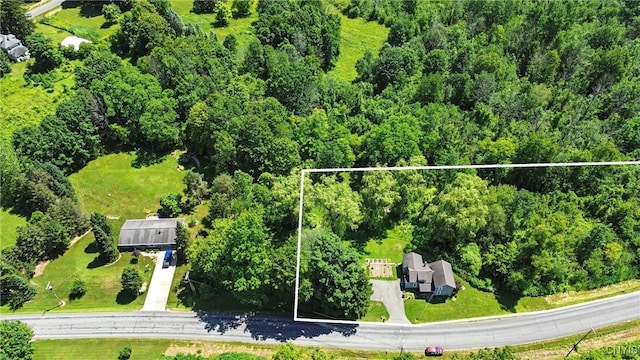 388 Sutton Rd, Schroeppel, NY 13132 - aerial view of property's location featuring property parcel outlined and a forest