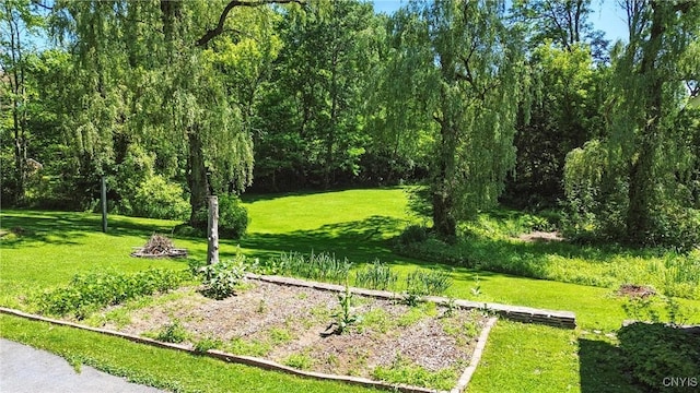 388 Sutton Rd, Schroeppel, NY 13132 - view of community with a yard