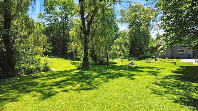 388 Sutton Rd, Schroeppel, NY 13132 - view of green lawn