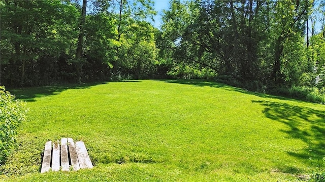 388 Sutton Rd, Schroeppel, NY 13132 - view of grassy yard