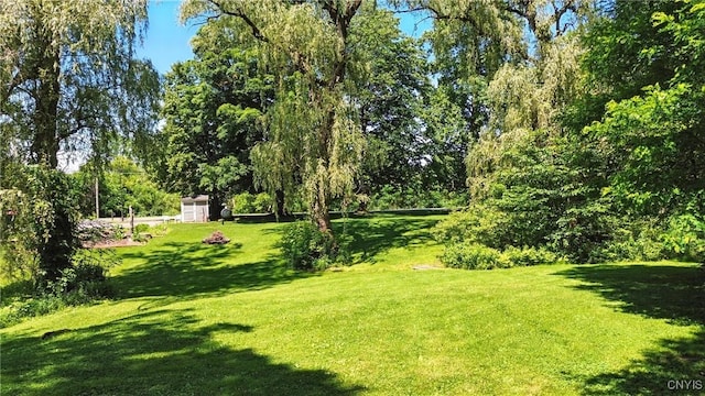 388 Sutton Rd, Schroeppel, NY 13132 - view of grassy yard with a shed
