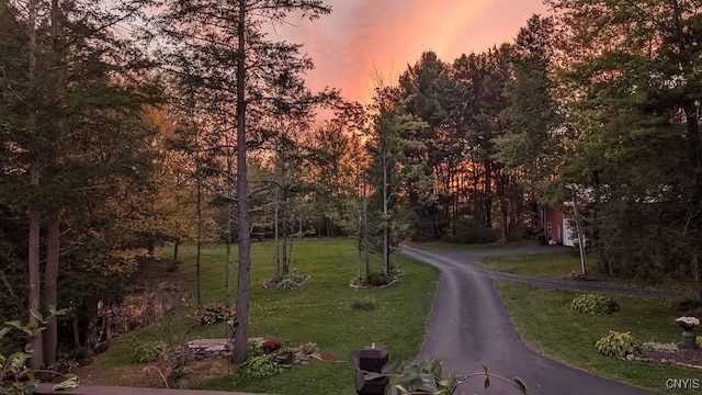 7358 Glass Factory Rd, Trenton, NY 13354 - photo 6