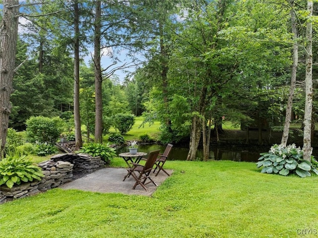 7358 Glass Factory Rd, Trenton, NY 13354 - photo 41