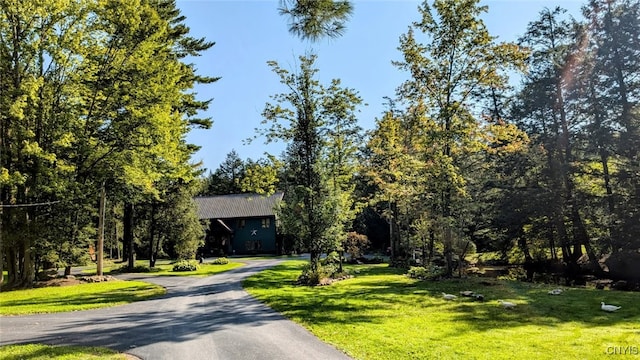 7358 Glass Factory Rd, Trenton, NY 13354 - photo 44