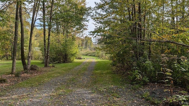 7358 Glass Factory Rd, Trenton, NY 13354 - photo 46