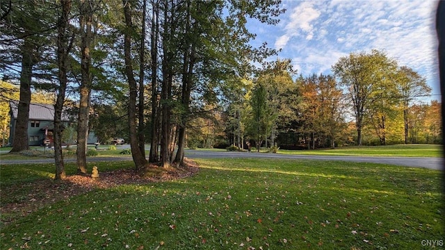 7358 Glass Factory Rd, Trenton, NY 13354 - photo 47