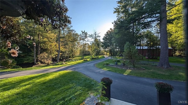 7358 Glass Factory Rd, Trenton, NY 13354 - photo 50