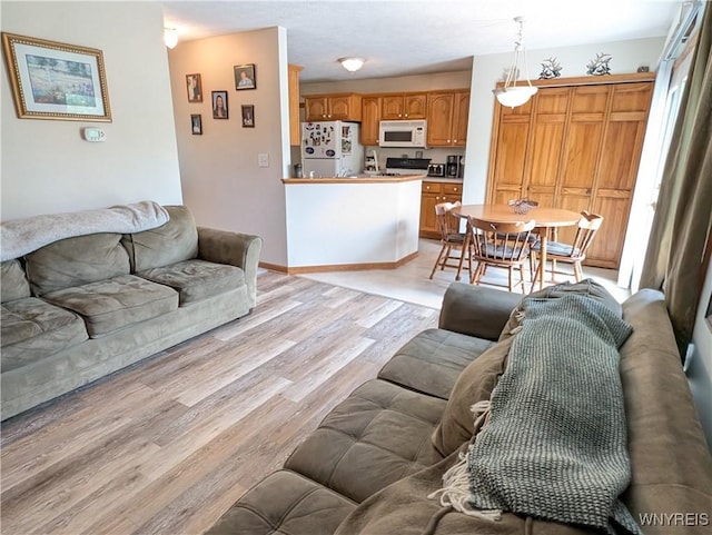 11030 Roosevelt Hwy, Yates, NY 14098 - living room with light wood-style floors