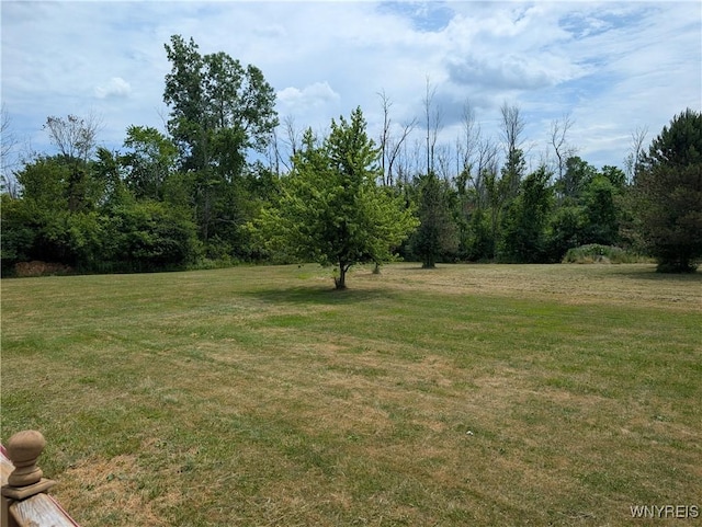 11030 Roosevelt Hwy, Yates, NY 14098 - view of green lawn