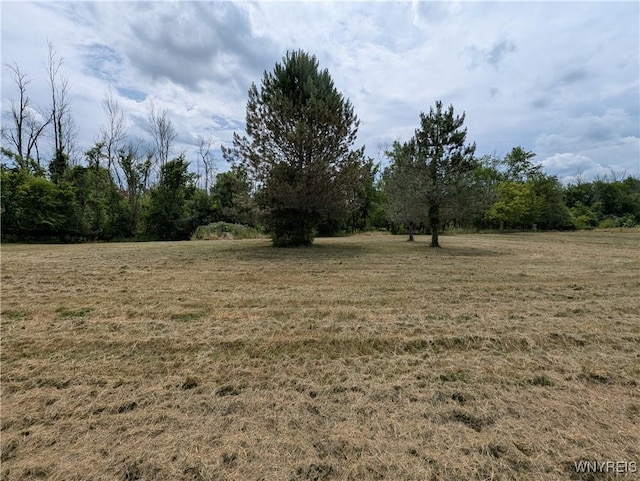 11030 Roosevelt Hwy, Yates, NY 14098 - view of grassy yard