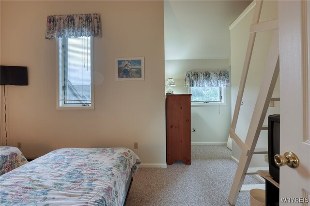 197 Wildflower, Ellicottville, NY 14731 - photo 25