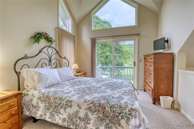 197 Wildflower, Ellicottville, NY 14731 - photo 20