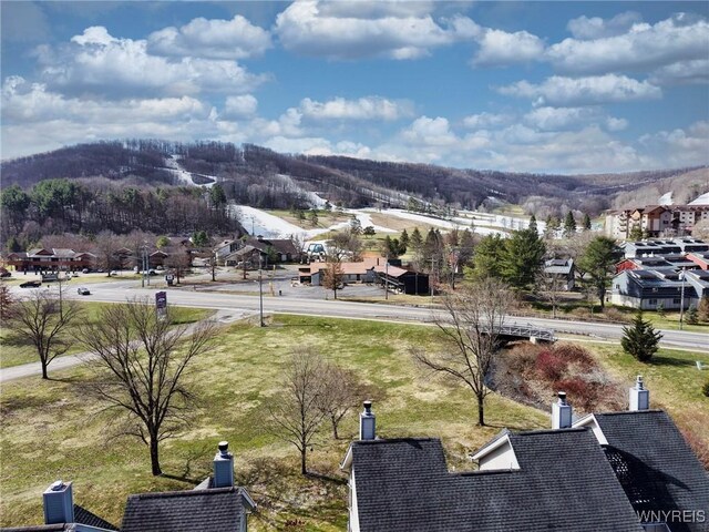197 Wildflower, Ellicottville, NY 14731 - photo 29