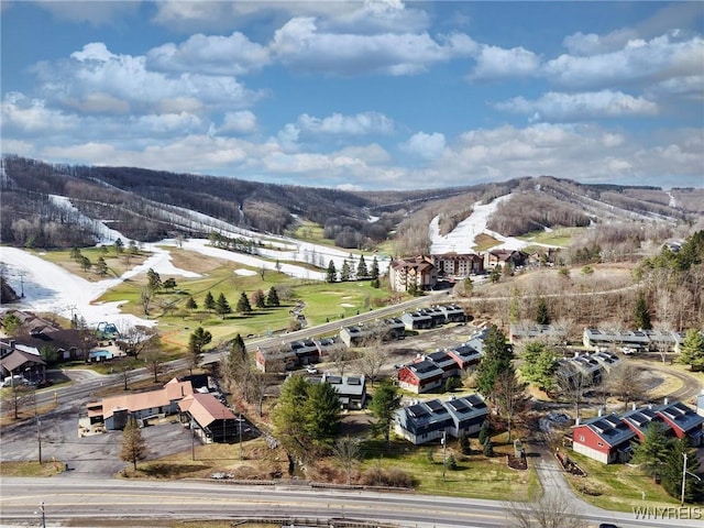197 Wildflower, Ellicottville, NY 14731 - photo 4